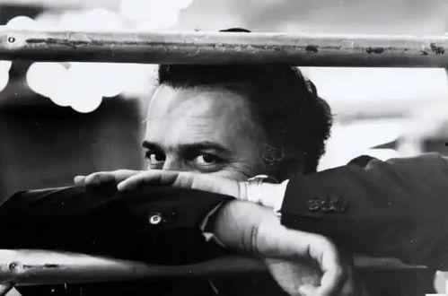 费里尼·拉康塔:电影日记,电影日记中的光影世界