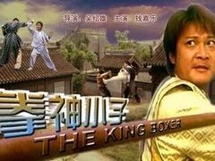 拳神小子,热血青春，逐梦拳坛的奋斗传奇