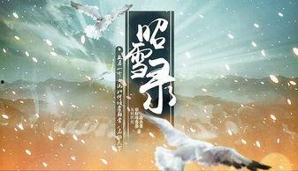 昭雪录,揭开历史尘埃，还原真相的壮丽篇章