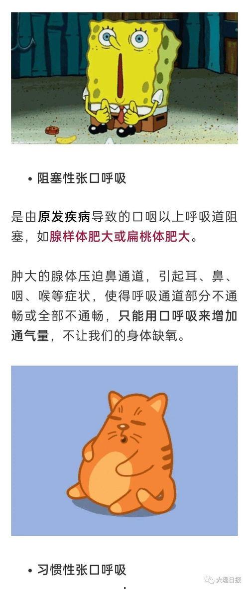 別呼吸,别呼吸的奥秘与启示