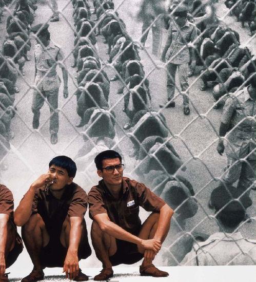 监狱风云,揭秘铁窗背后的生存法则与人性挣扎