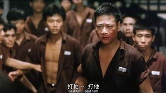 监狱风云,揭秘铁窗背后的生存法则与人性挣扎