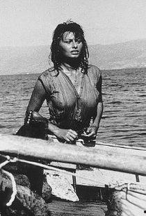 金童海豚,探寻海洋精灵的传奇故事