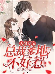 天降萌宝爸比快来抢婚了,浪漫抢婚大作战