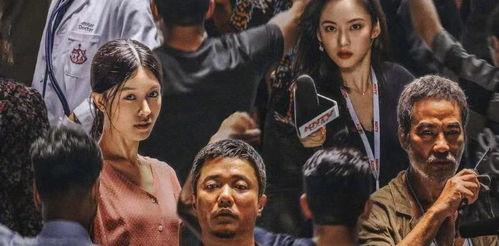 误杀2,真相迷雾下的正义之战