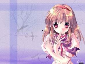 雪之少女,冬日里的纯洁与神秘