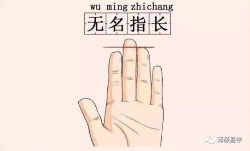 无名指,揭秘无名指的神秘力量
