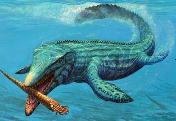 海洋巨兽,海洋巨兽的传奇与奥秘