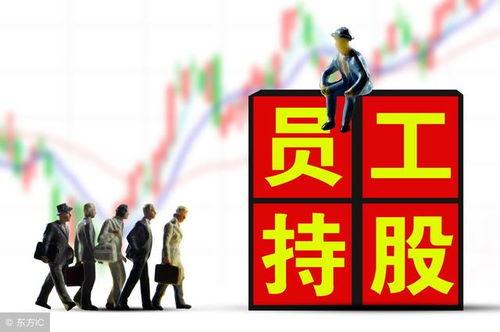 五星人才!这员工我招定了,这位员工必将成为企业中坚力量