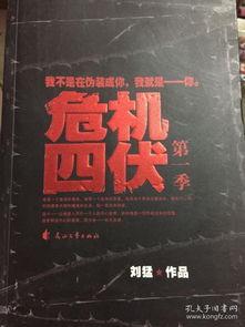 危机四伏,揭秘潜在风险与挑战的暗流涌动