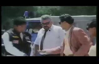 东方老虎,探寻东方老虎的传奇与魅力